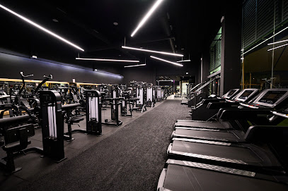 icongym valencia