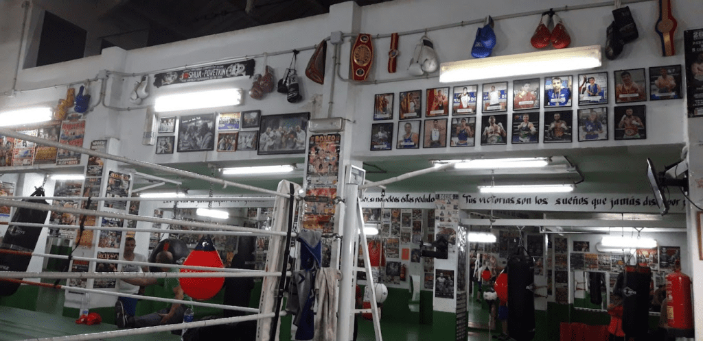 club boxeo san cristobal